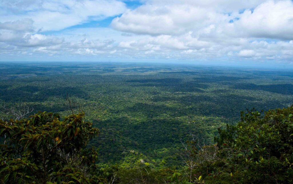Vista aérea do Parque Nacional do Monte Pascoal com Mata Atlântica preservada