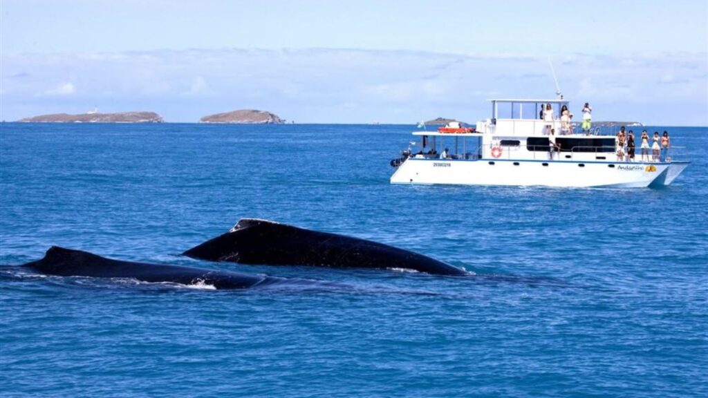 Embarcação autorizada para visitação no Parque Nacional Marinho dos Abrolhos