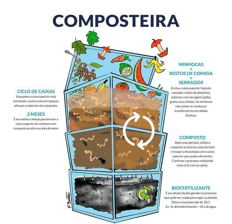 Compostagem doméstica: como usar adubo orgânico